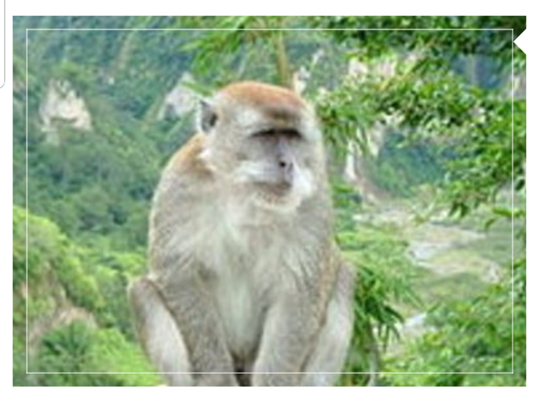 Antisipasi Bencana Alam Balai TNGC Kerja Sama Dengan Berbagai Pihak