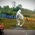 b8c2adfa-6a19-484c-8af5-4af01a536fad (1)